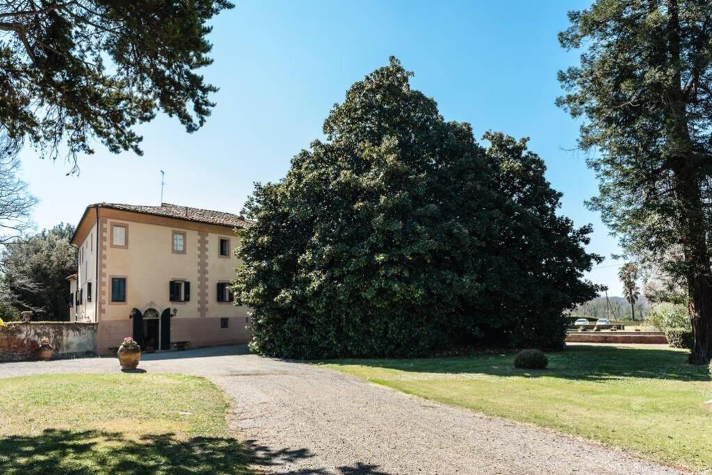 Villa Ott Crespina Eksteriør billede