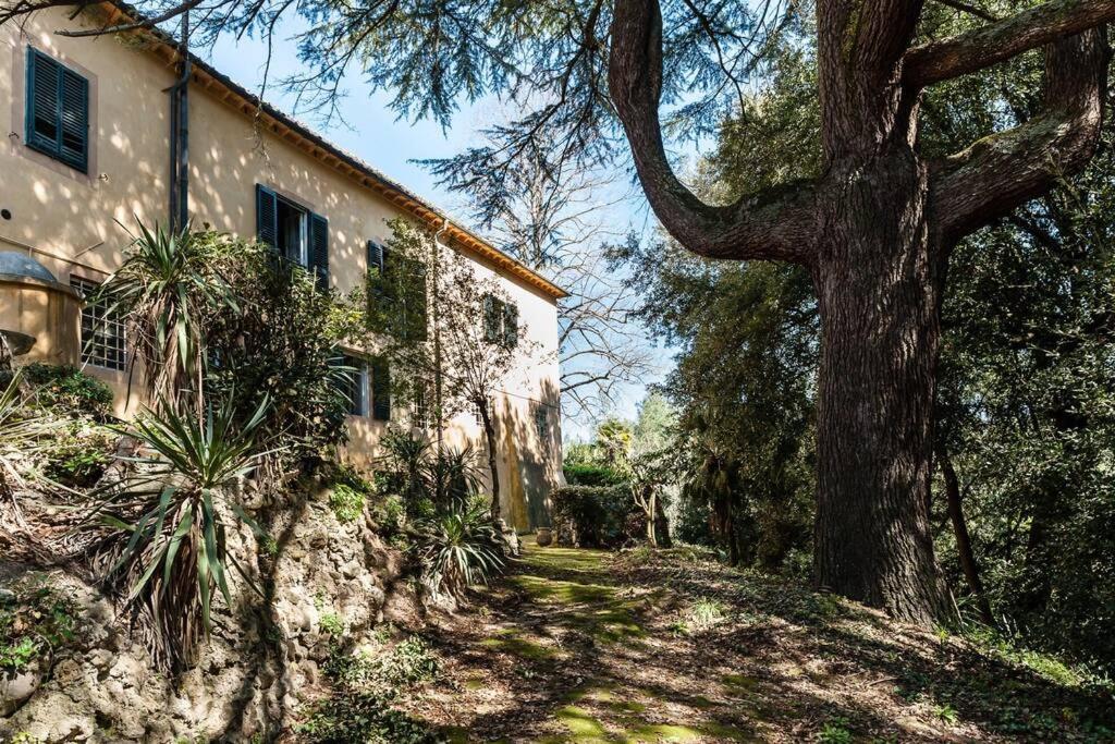 Villa Ott Crespina Eksteriør billede